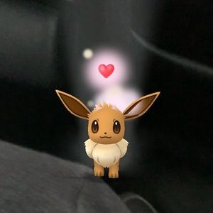 Meet your Posher, Cody